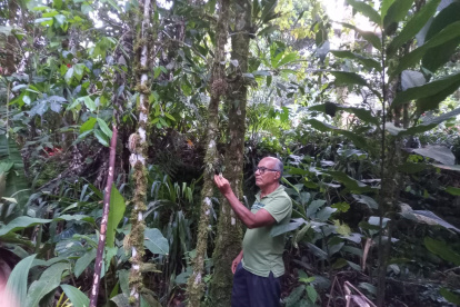 Estudio. Omar investiga constantemente sus plantas, flores y los nuevos insectos.