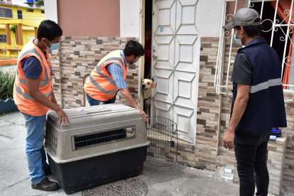 El caso lo informó el Municipio este viernes 12 de abril.