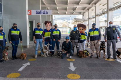 En 2022, la Empresa de Transporte de Pasajeros adoptó a 42 perros.