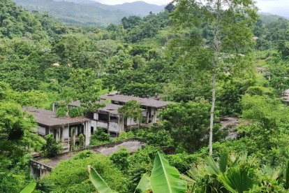 Maleza. Entre la vegetación, se esconde una construcción paralizada de una Escuela del Milenio en la zona rural de Pedernales. Los niños no pueden estudiar.