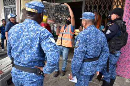 Las autoridades realizaron los controles por denuncias ciudadanas