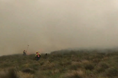 Bomberos lograron controlar las llamas que afectó el pajonal