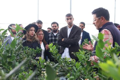 El ministro de Comercio de Emiratos Árabes, Thani Al Zeyoudi, junto a autoridades de Ecuador, visita una finca de arándanos. 
, junto a empresarios de su país,