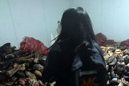 Durante el operativo también se decomisó 1.500 patas de res.