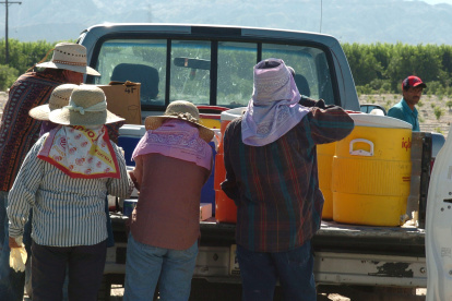 Una familia tomando agua durante un descanso en un campo agrícola.