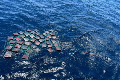 A 110 millas de Gálapagos, se detuvo a una embarcación que además trasnportaba combustible de forma ilegal.