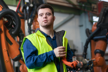 los empleadores, tanto del sector público como del privado, que cuenten con un mínimo de veinticinco trabajadores, deben contratar al menos a una persona con discapacidad