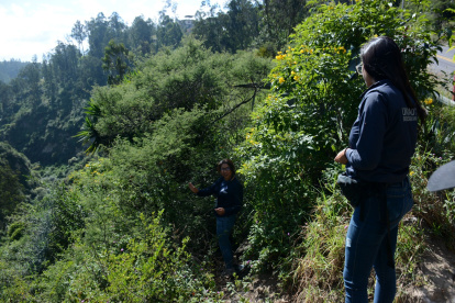 Imagen referencial. En Quito, los funcionarios de la Unidad de Bienestar Animal (UBA) realizan controles para verificar la correcta tenencia de las mascotas.