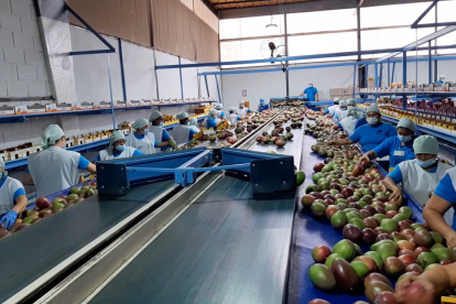 Empresa.- Una de las compañías que exporta el mango ecuatoriano.