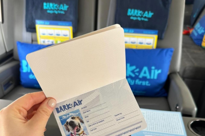 Bark Air es la primera aerolínea exclusiva para perros.