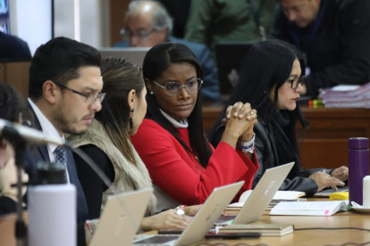 La Fiscal Diana Salazar durante la audiencia.