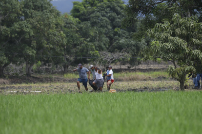La séptima víctima fue encontrada en la misma zona, la mañana de este sábado. Policías acudieron al punto.