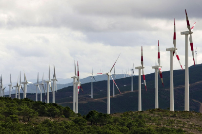 Parque.- Una foto referencial de un parque eólico.