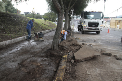 Adultos mayores son los usuarios más frecuentes del parque Dammer 1. En este sitio se mejorarán las caminerías y se colocarán juegos biosaludables.