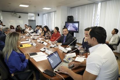 El proyecto de reforma es tramitado por la Comisión de Relaciones Internacionales de la Asamblea Nacional.