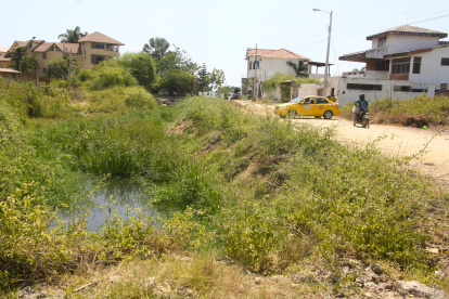 Costa de Oro. Los habitantes de esta zona residencial de Salinas vienen pidiendo al Municipio cortar la maleza hace al menos una década, pero nadie los escucha. Abundan los moscos en el sitio.
