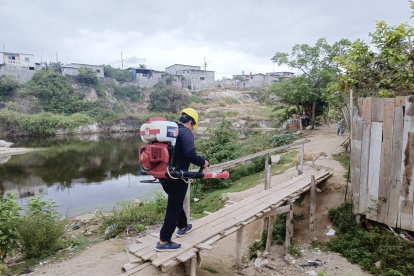 El MSP asegura que está haciendo fumigaciones en las zonas más afectadas de la provincia.