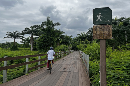 Las barandas que forman parte de la caminera hacia Santay están en mal estado.