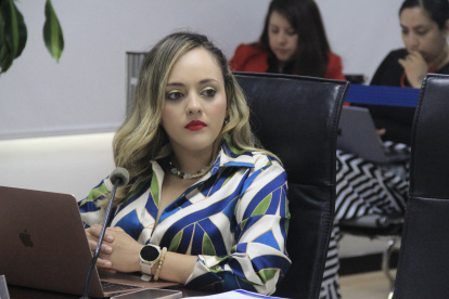 La conejera del Consejo de Participación Ciudadana, Johanna Verdezoto.