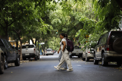 Barrio Orellana. Este es uno de los poquísimos barrios porteños donde hay especies, lo que facilita las caminatas y el encuentro entre familias.