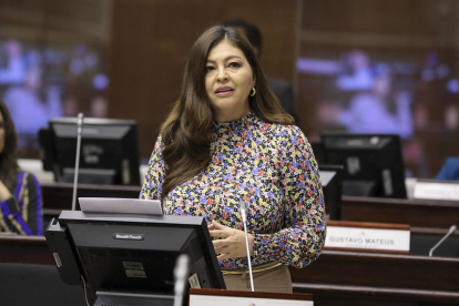 Solicitud. La legisladora de RC, Sofía Espín, propuso que Fiscalización investigue la crisis energética.