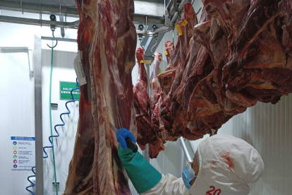 Labor. Daysi Burgos, de 31 años, hace el desposte de la carne en el Centro de Distribución de Tía.