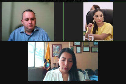 La Comisión de Fiscalización sesionó de forma virtual para escuchar la actuación de pruebas del proponente Carlos Vera Mora.