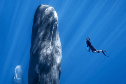 El encuentro reúne treinta películas de catorce países