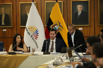 Comparecencia. Durante tres horas, el ministro encargado de Energía expuso los pormenores de la crisis eléctrica en la Asamblea Nacional.