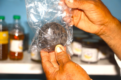 En San Marcos y poblaciones aledañas se obtiene este producto de manera preferente en las fincas cercanas a la cordillera