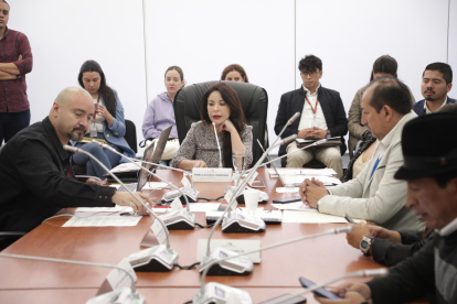 Pamela Aguirre dirigió la sesión, en la que se receptaron pruebas y textimonios en el trámite de juicio político contra el exministro Juan Zapata.