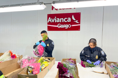 Transporte.- La exportación de las flores ecuatorianas.