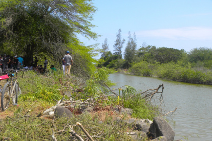 Estero. Rellenarlo, echar abajo el bosque protector y construir cuatro edificios encima tiene, según el Ministerio de Ambiente, "bajo impacto".
