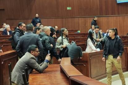 La fiscal salió de la sesión cuando se dio paso a recibir al exlegislador Ronny Aleaga de forma virtual.