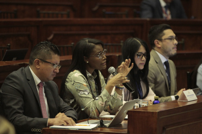 La correísta Pamela Aguirre pretendía que Ronny Aleaga hable en pesencia de la fiscal Diana Salazar.