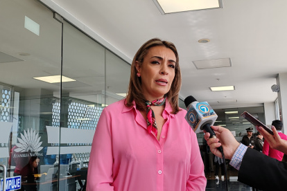 La legisladora espera que Construye se sume a la postura de las demás bancadas de conformar una comisión multipartidista.