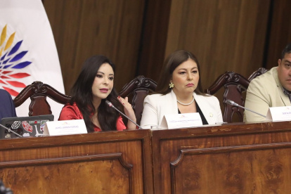 Pamela Aguirre intentó que Ronny Aleaga comparezca en la Comisión de Fiscalización, cuando intervenía la fiscal Diana Salazar.