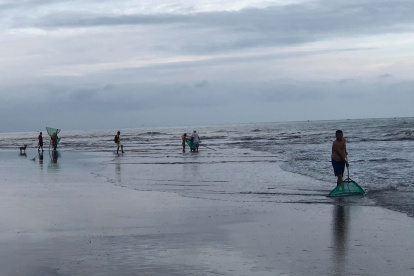 En las costas de Esmeraldas, un fenómeno natural se repite anualmente, marcando el compás de la vida y la cultura local, la captura de chautiza