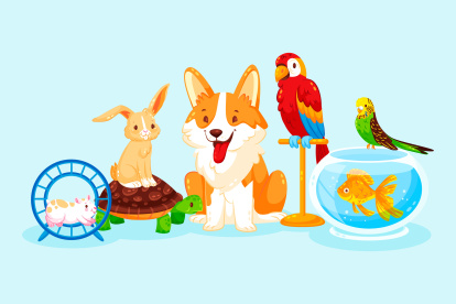 ¿Qué mascota va bien con tu personalidad?