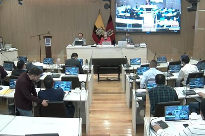 En la sesión de Concejo se propuso la eliminación del articulo que menciona la instalación de alarmas comunitarias en barrios de concejales