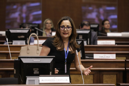 Dato. Alexandra Castillo es integrante del Consejo de Administración Legislativa, ente que regula la Asamblea Nacional