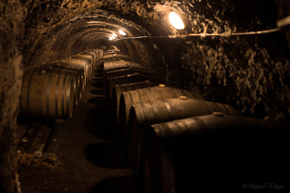 Cava.- Una de las bodegas donde se elaboran uno de los mejores y más caros vinos del mundo.