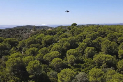 En el mundo actual, "las tecnologías geoespaciales o la geoinformática emergen como herramientas fundamentales"