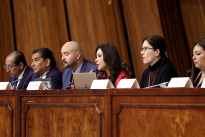Comparecencia. En la sesión del 13 de mayo, Aguirre autorizó recibir a Aleaga de forma virtual.