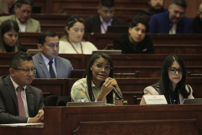La fiscal general del Estado, Diana Salazar, durante su comparecencia en la Asamblea Nacional, semanas atrás.