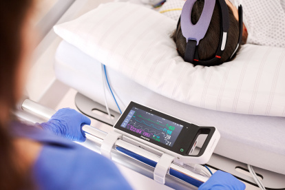 El sector está conformado por una veintena de empresas.