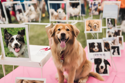 En la feria podrán adoptar a un animalito, habrá emprendimientos y concursos.