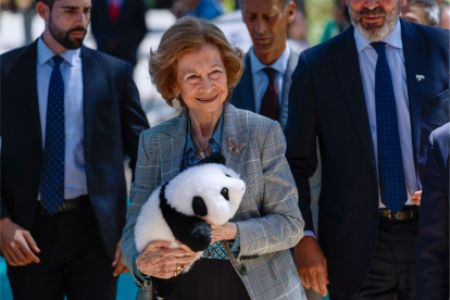 La reina Sofía asistió al recibimiento de los osos panda Jin Xi (macho) y Zhu Yu (hembra) en el zoológico de Madrid.