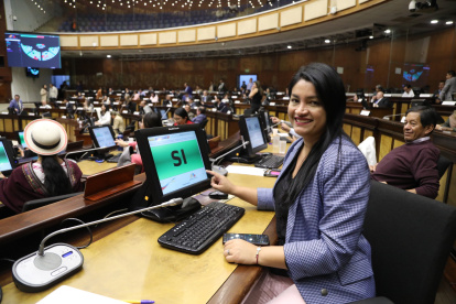 Asambleísta. Victoria Desintonio publicó en X oficios y un video.