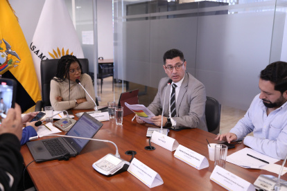 Paola Cabezas, presidenta de la mesa de Garantías Constitucionales que fiscaliza el censo.